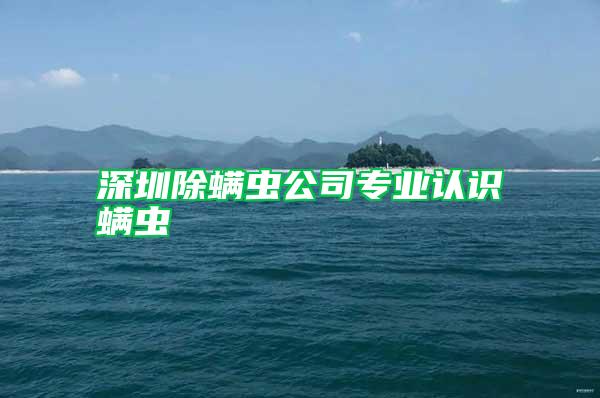 深圳除螨蟲公司專業(yè)認(rèn)識(shí)螨蟲