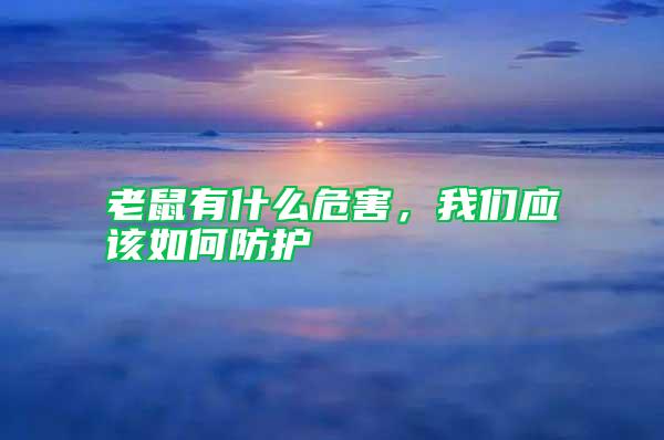 老鼠有什么危害，我們應該如何防護