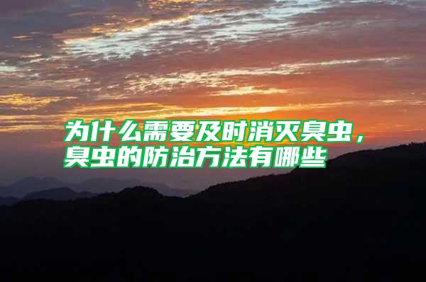 為什么需要及時消滅臭蟲,臭蟲的防治方法有哪些