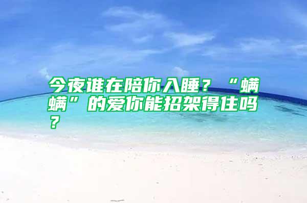 今夜誰在陪你入睡?“螨螨”的愛你能招架得住嗎?