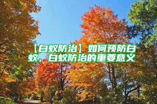 【白蟻防治】如何預(yù)防白蟻，白蟻防治的重要意義
