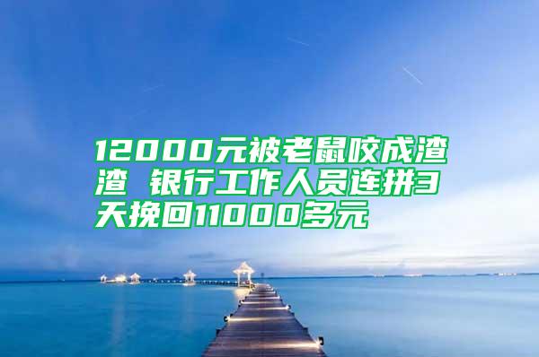 12000元被老鼠咬成渣渣 銀行工作人員連拼3天挽回11000多元