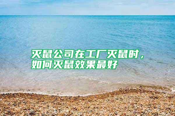 滅鼠公司在工廠滅鼠時，如何滅鼠效果最好