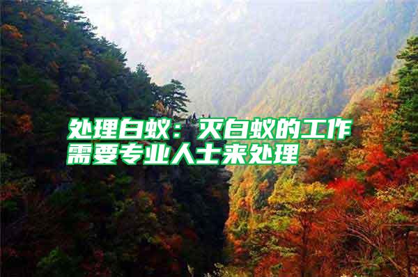處理白蟻：滅白蟻的工作需要專(zhuān)業(yè)人士來(lái)處理