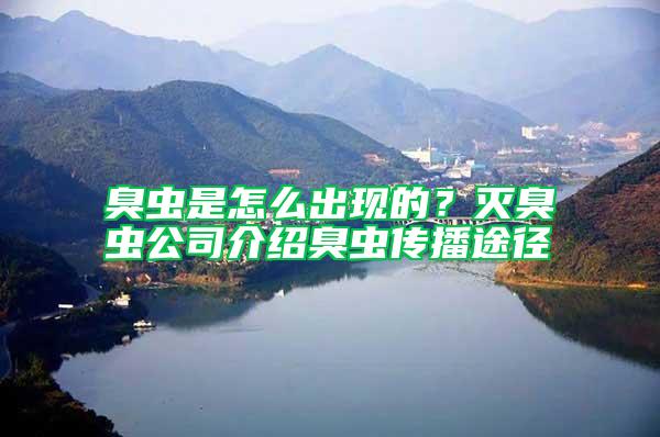 臭蟲是怎么出現的?滅臭蟲公司介紹臭蟲傳播途徑