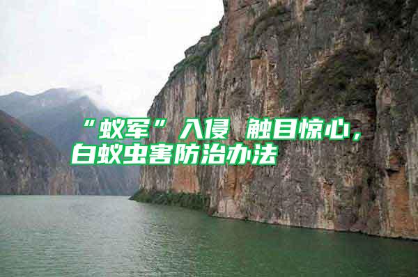 “蟻軍”入侵 觸目驚心，白蟻蟲(chóng)害防治辦法