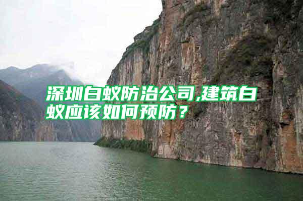 深圳白蟻防治公司,建筑白蟻應該如何預防？