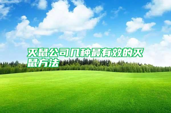 滅鼠公司幾種最有效的滅鼠方法