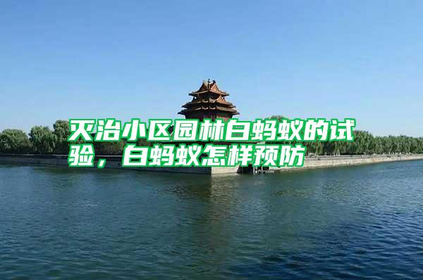 滅治小區園林白螞蟻的試驗,白螞蟻怎樣預防