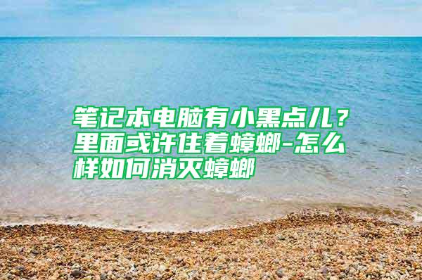筆記本電腦有小黑點(diǎn)兒？里面或許住著蟑螂-怎么樣如何消滅蟑螂