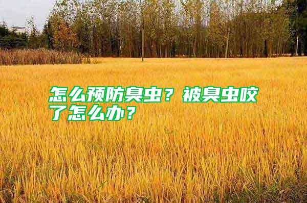 怎么預(yù)防臭蟲(chóng)?被臭蟲(chóng)咬了怎么辦?