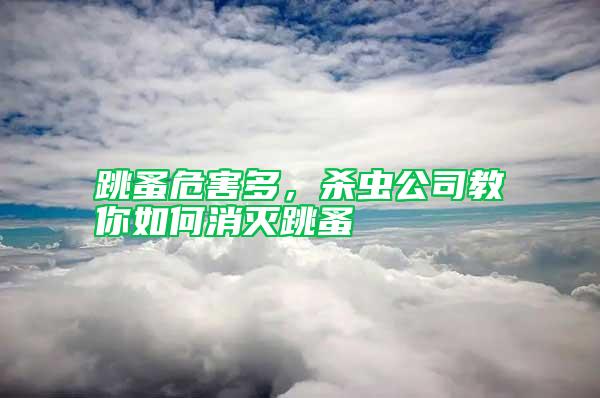 跳蚤危害多，殺蟲公司教你如何消滅跳蚤