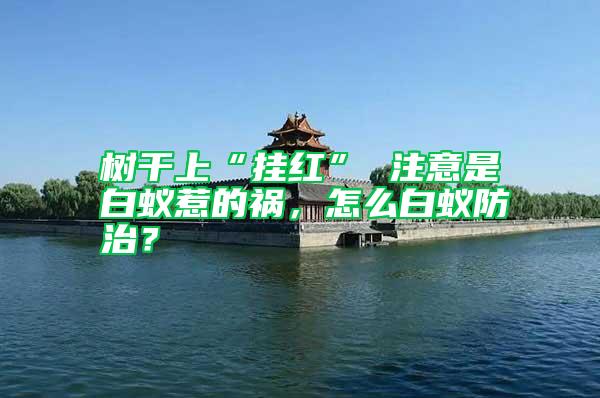 樹干上“掛紅” 注意是白蟻惹的禍，怎么白蟻防治？