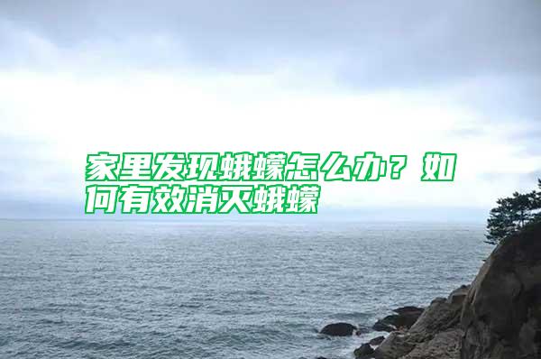 家里發現蛾蠓怎么辦？如何有效消滅蛾蠓