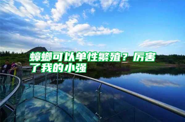 蟑螂可以單性繁殖？厲害了我的小強