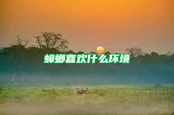 蟑螂喜歡什么環境