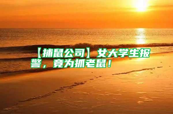 【捕鼠公司】女大學生報警，竟為抓老鼠！