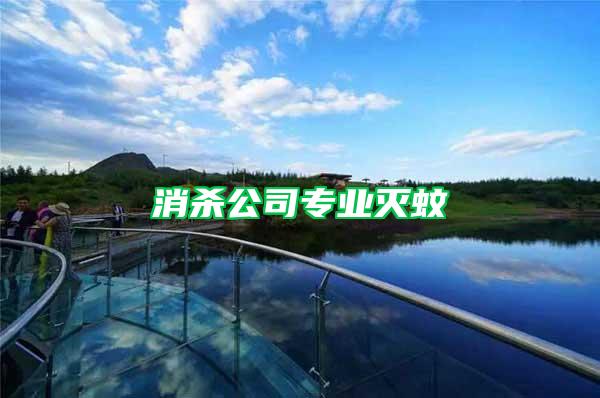 消殺公司專業滅蚊