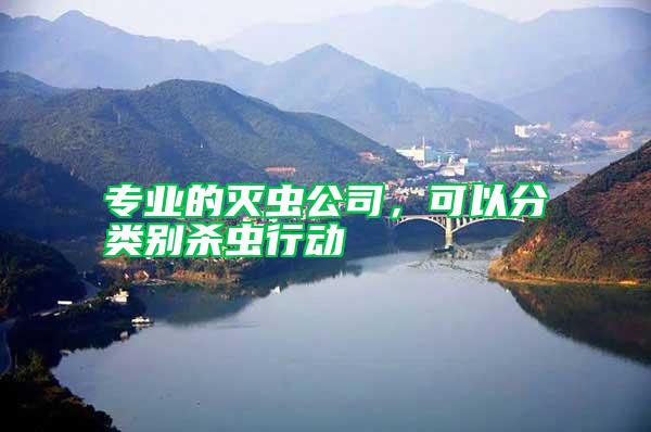 專業的滅蟲公司，可以分類別殺蟲行動