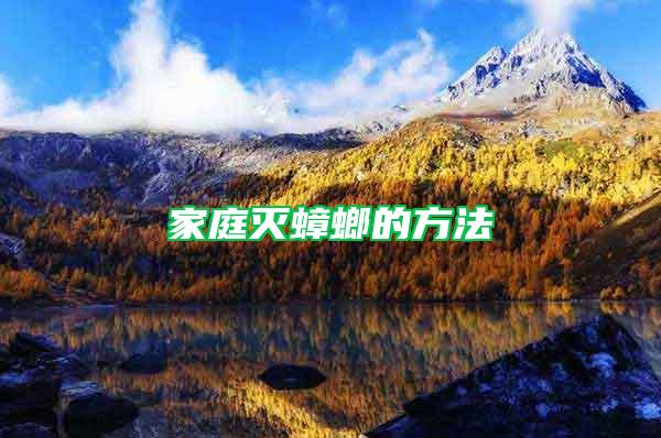 家庭滅蟑螂的方法