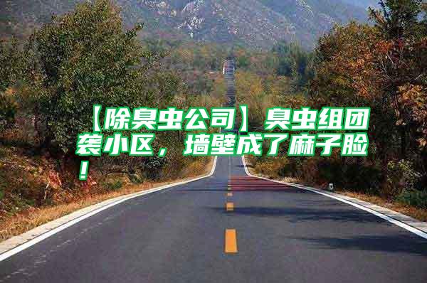 【除臭蟲公司】臭蟲組團襲小區，墻壁成了麻子臉！