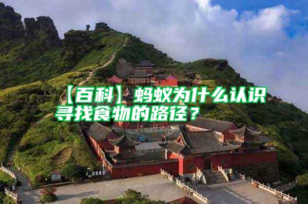 【百科】螞蟻為什么認(rèn)識(shí)尋找食物的路徑？
