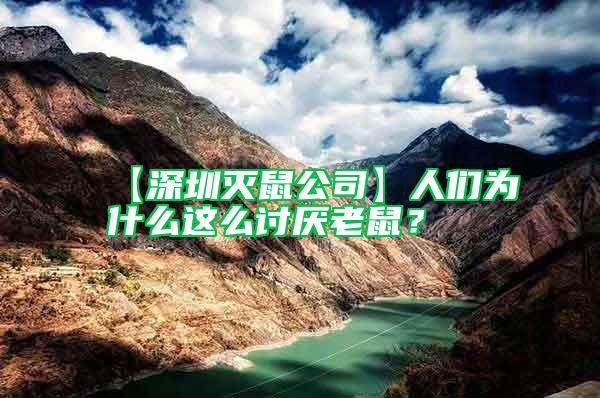【深圳滅鼠公司】人們?yōu)槭裁催@么討厭老鼠？