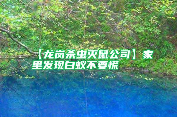 【龍崗殺蟲滅鼠公司】家里發(fā)現(xiàn)白蟻不要慌