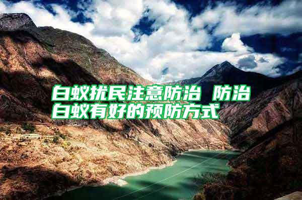 白蟻擾民注意防治 防治白蟻有好的預防方式