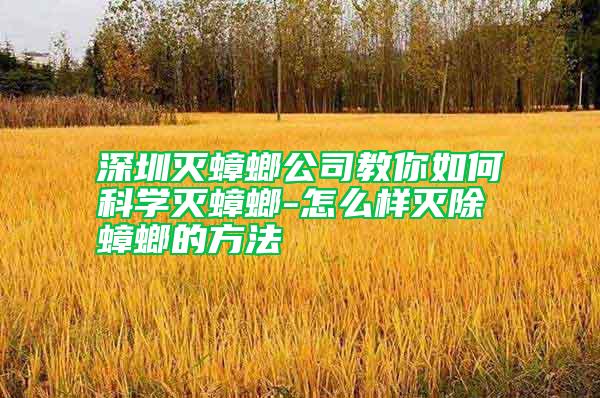 深圳滅蟑螂公司教你如何科學滅蟑螂-怎么樣滅除蟑螂的方法