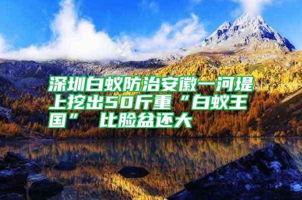 深圳白蟻防治安徽一河堤上挖出50斤重“白蟻王國” 比臉盆還大