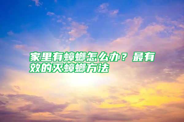 家里有蟑螂怎么辦？最有效的滅蟑螂方法