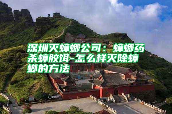 深圳滅蟑螂公司：蟑螂藥殺蟑膠餌-怎么樣滅除蟑螂的方法