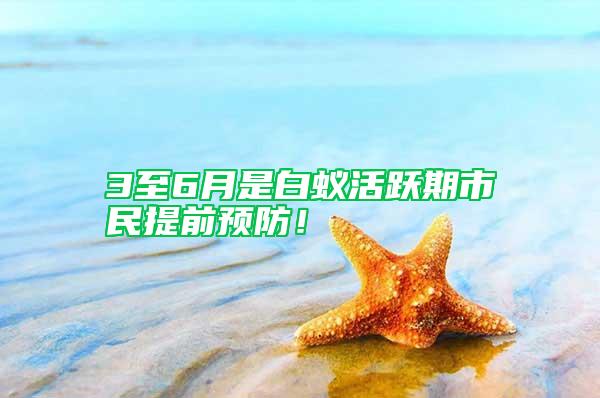 3至6月是白蟻活躍期市民提前預防!