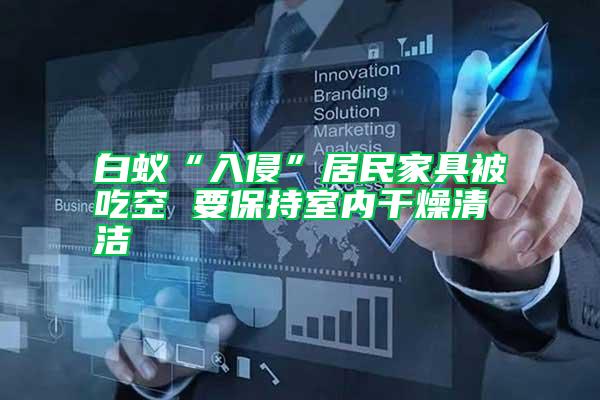 白蟻“入侵”居民家具被吃空 要保持室內干燥清潔