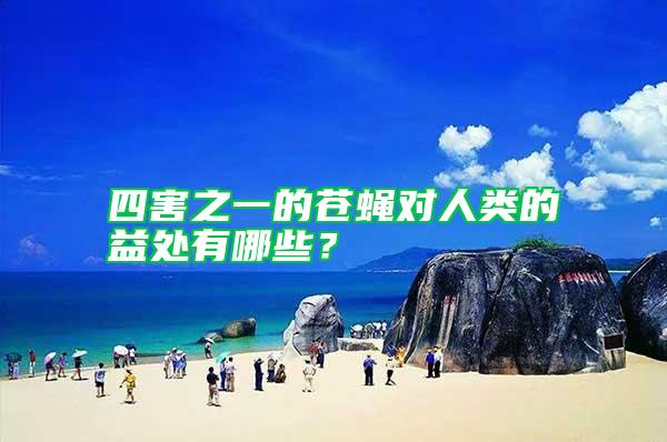 四害之一的蒼蠅對(duì)人類(lèi)的益處有哪些？