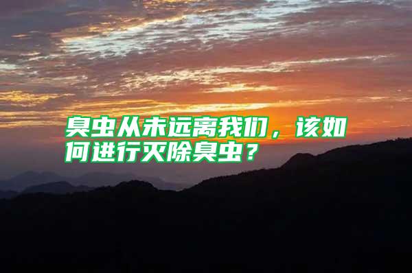 臭蟲從未遠離我們，該如何進行滅除臭蟲？