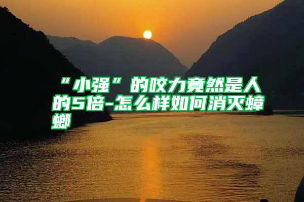 “小強”的咬力竟然是人的5倍-怎么樣如何消滅蟑螂