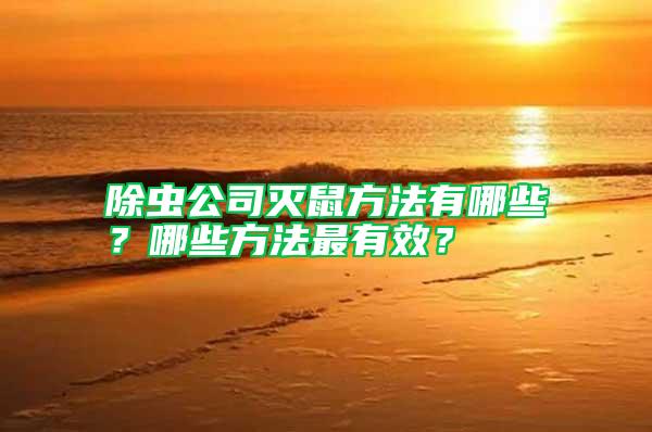 除蟲公司滅鼠方法有哪些？哪些方法最有效？