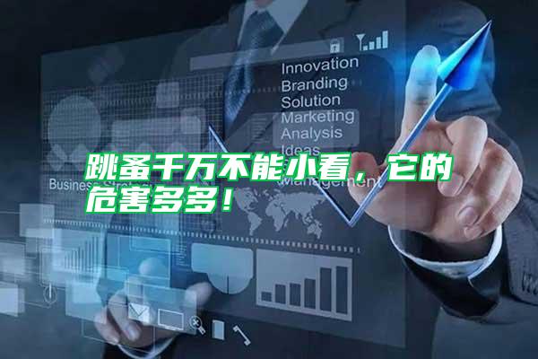 跳蚤千萬(wàn)不能小看，它的危害多多！