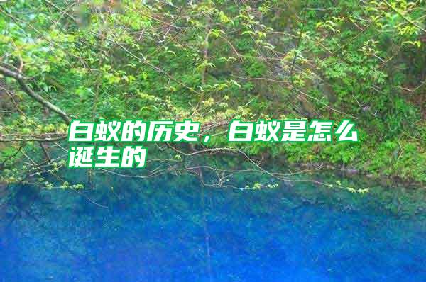 白蟻的歷史，白蟻是怎么誕生的