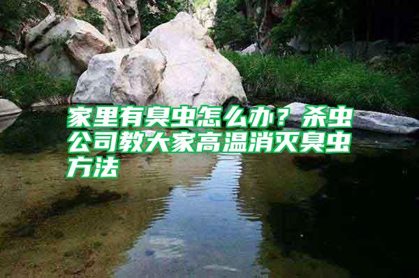 家里有臭蟲(chóng)怎么辦？殺蟲(chóng)公司教大家高溫消滅臭蟲(chóng)方法