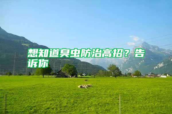 想知道臭蟲防治高招？告訴你