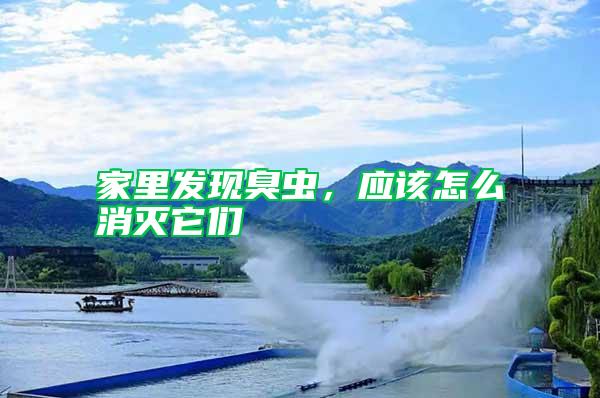 家里發現臭蟲，應該怎么消滅它們