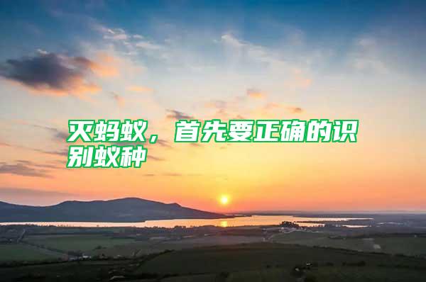 滅螞蟻，首先要正確的識別蟻種