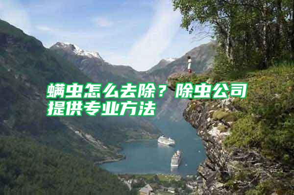 螨蟲怎么去除?除蟲公司提供專業(yè)方法