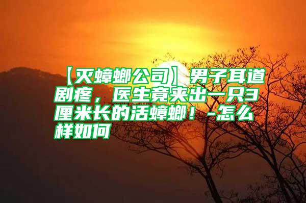 【滅蟑螂公司】男子耳道劇疼，醫生竟夾出一只3厘米長的活蟑螂！-怎么樣如何