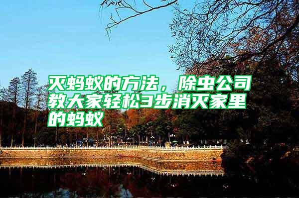 滅螞蟻的方法，除蟲公司教大家輕松3步消滅家里的螞蟻