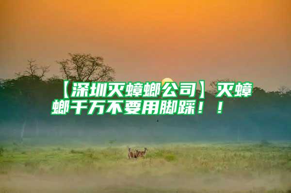 【深圳滅蟑螂公司】滅蟑螂千萬不要用腳踩??！