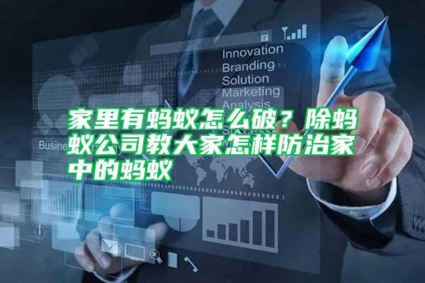 家里有螞蟻怎么破？除螞蟻公司教大家怎樣防治家中的螞蟻